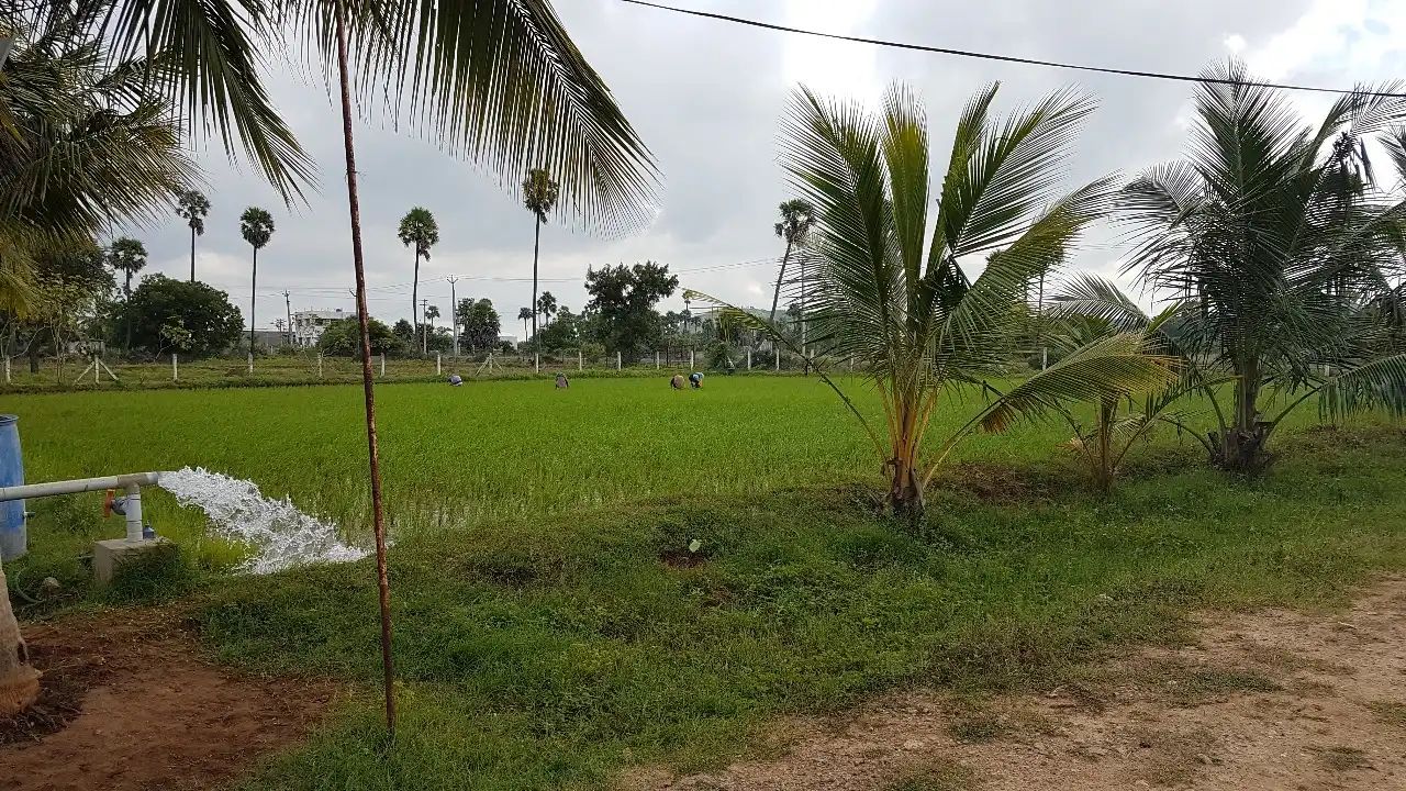 farm-land-for-sale-near-chengalpattu-mf-farms-and-homes